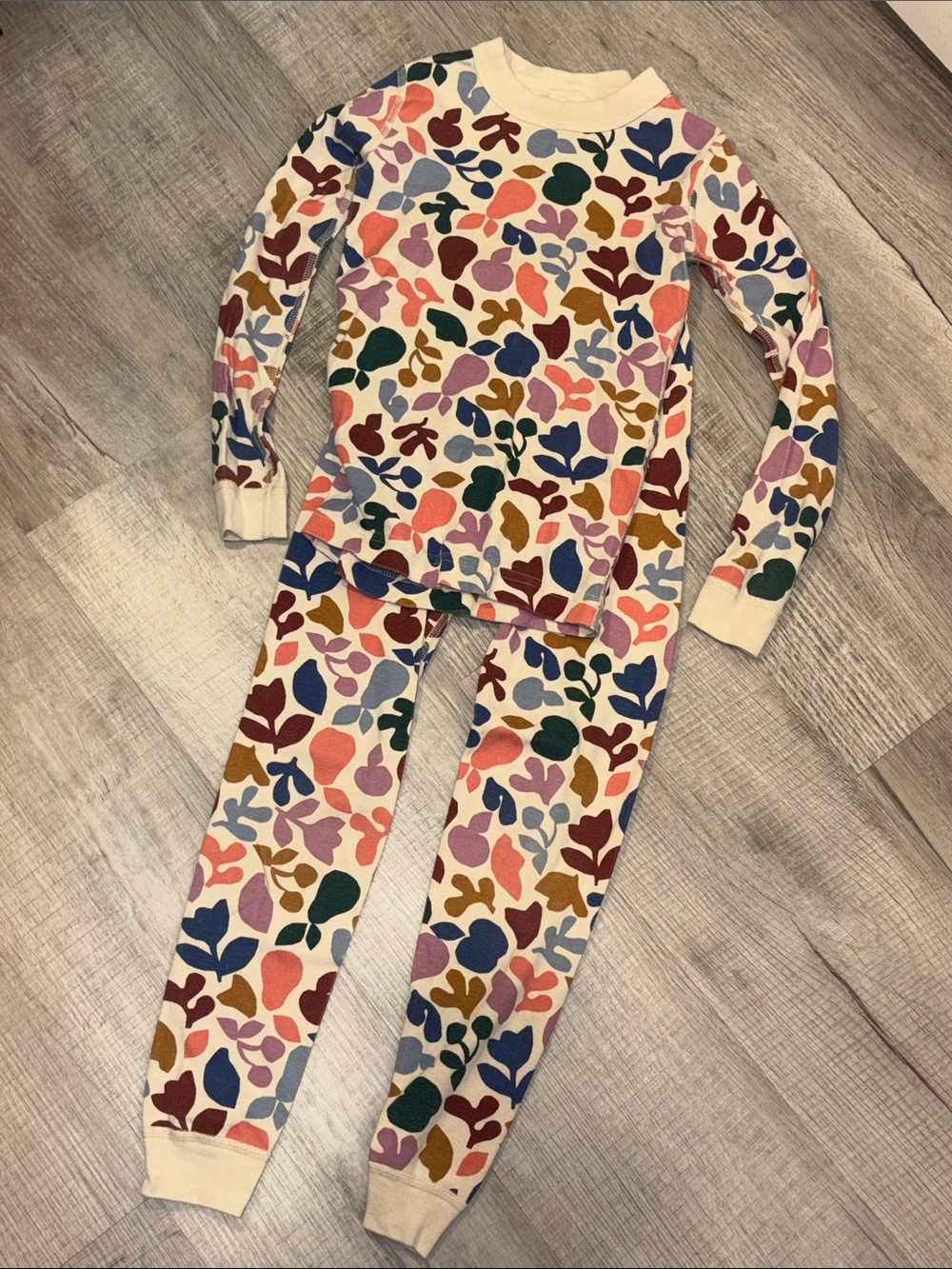 Hanna Andersson Cream Floral Leaf Print Long Sleeve Pajama Set with Multi Colors